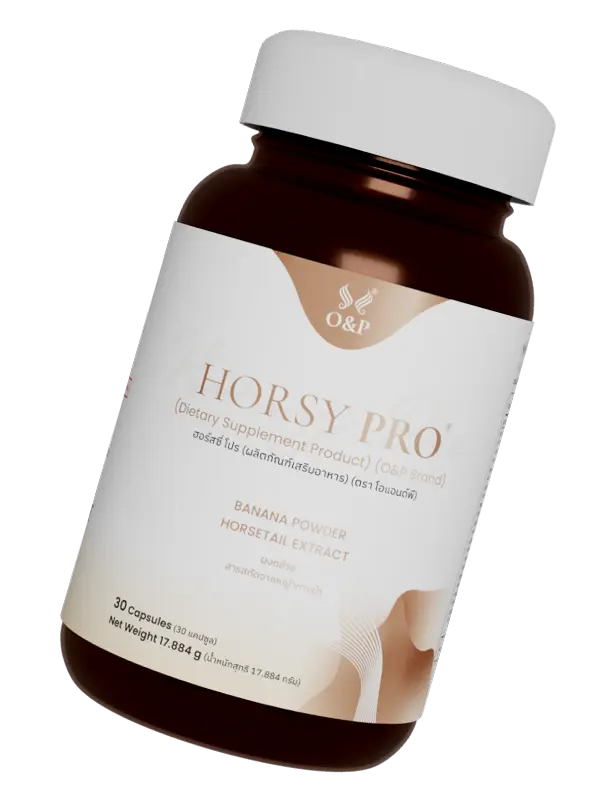 HORSY Pro