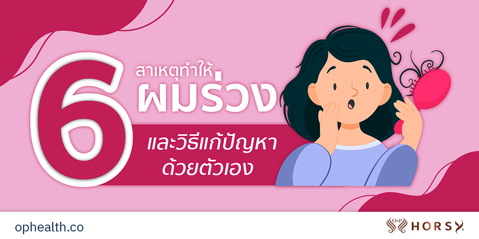 6 สาเหตุทำให้ผมร่วง และวิธีแก้ปัญหาด้วยตัวเอง ผมร่วง ผมบาง หัวล้าน 1 1 O&P Hair Care ผลิตภัณฑ์ดูแลเส้นผม