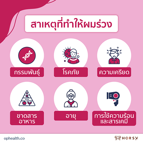 6 สาเหตุทำให้ผมร่วง และวิธีแก้ปัญหาด้วยตัวเอง ผมร่วง ผมบาง หัวล้าน 2 O&P Hair Care ผลิตภัณฑ์ดูแลเส้นผม