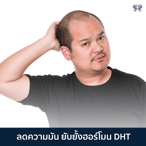 HERRMETTO เฮอร์เมตโต ยาปลูกผม ปลูกผม วิตามิน แก้ผมร่วง ผมหนา สมุนไพรปลูกผม 04 O&P Hair Care ผลิตภัณฑ์ดูแลเส้นผม