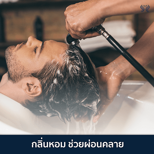 HERRMETTO เฮอร์เมตโต ยาปลูกผม ปลูกผม วิตามิน แก้ผมร่วง ผมหนา สมุนไพรปลูกผม 05 O&P Hair Care ผลิตภัณฑ์ดูแลเส้นผม