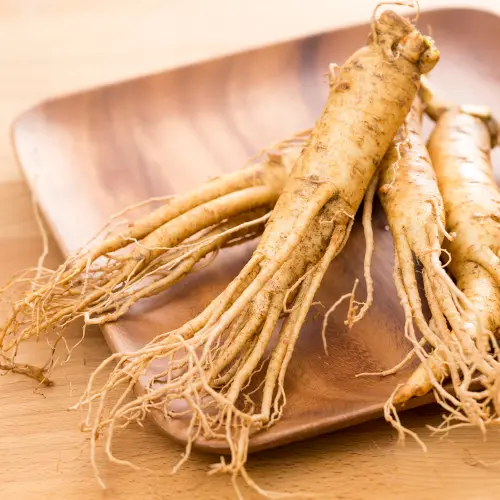 Ginseng Extract